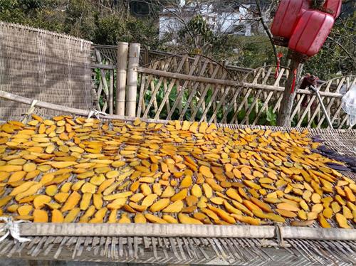 微信图片_20211210143116.jpg
