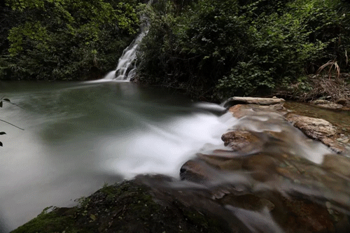 微信图片_20211230091231.gif